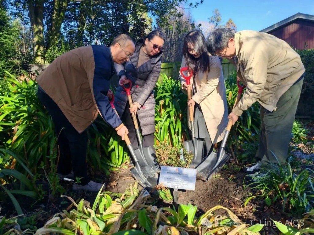 Planting a friendship tree to mark China-New Zealand exchange